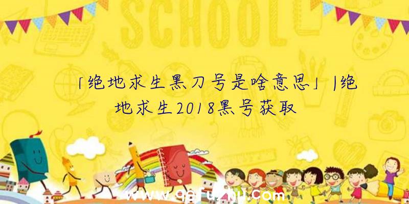 「绝地求生黑刀号是啥意思」|绝地求生2018黑号获取